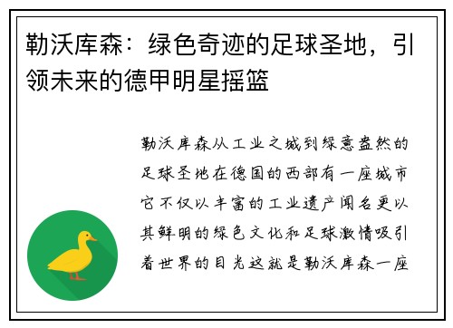 勒沃库森：绿色奇迹的足球圣地，引领未来的德甲明星摇篮